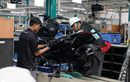 Molinas Bukan Cuma Alva dan Gesits, Sudah Ada 10 Merek Lain Mengantre
