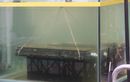 Gokil, Chery Tes Baterai Tiggo 8 CSH Direndam Air Laut Hampir 54 Jam!