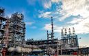 Dukung Energi Hijau, Kilang Pertamina Dorong Produksi Green Coke untuk Industri Nasional