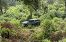 Barang Hobi Hancur Lebur, Toyota Land Cruiser VX80 Koprol Hebat di Jurang Jalur Bromo