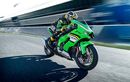Mulai Rp 200 Jutaan, Ini Daftar Harga Lengkap Moge Kawasaki Terbaru