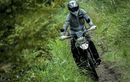 Bosen Motor Trail Itu-itu Aja? Coba Lirik Kawasaki KLX230 Sherpa, Lebih Siap Diajak Blusukan