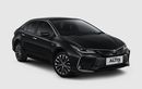 Soal Irit BBM Corolla Altis Hybrid Kini Harus Tunduk Sama Civic Hybrid
