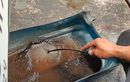 Biar Enggak Mogok, Segini Ideal Bersihkan Filter Fuel Pump Mobil