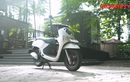 Harga Beda Tergantung Tipe, Intip Harga 4 Varian Honda Scoopy Update Oktober 2025