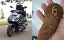 Pakai Trik Ini Ganti Filter Fuel Pump Vario 160 Jadi Lebih Murah
