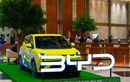 BYD Fasilitasi 15 Unit Mobil Listrik di IISF 2025, Denza D9, BYD Sealion 7 dan BYD Seal Diterjunkan