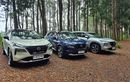 Rasanya Adventure Bersama Nissan X-Trail e-4ORCE ke Hutan Pinus