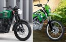 Pilihan Motor Baru Kawasaki di Bawah Rp 50 Juta, Bisa Buat Trabasan atau Tampil Kalcer