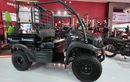 Mobil Off Road Kecil Kawasaki, Mule SX 4x4 Siap Gas Pol di Indonesia