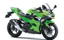 Minat Kawasaki Ninja 250, Cek Harga Motor Barunya per Juni 2026