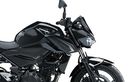 Tampilan Sporty Kawasaki Z250 Model 2026, Versi Non Fairing Ninja 250