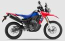 Update Harga Honda CRF250 Rally Juli 2026, Cocok Buat Reli dan Adventure Touring