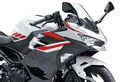 Punya Konsumsi BBM 25 Km/Liter, Ini Warna Baru Kawasaki Ninja 250 Model 2027 