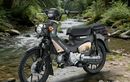 Bebek Trail Edisi Spesial Baru Honda Meluncur. Bisa Jelajah 270 Km Sekali Full Tank