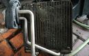 Servis dan Bersihkan Evaporator AC Mobil Baiknya Kapan? Ini Jadwalnya