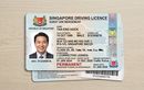 SIM di Singapura Tak Perlu Diperpanjang, Berlaku Sampai Pemiliknya Meninggal dengan Sistem Begini