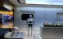 Chery Indonesia dan AiMOGA Buka Experience Store Pertama di Indonesia, Kenalkan Robot Humanoid Mornine