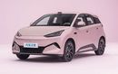 BYD Atto 1 Terbaru Segera Rilis di Tiongkok, Membesar dan Membulat