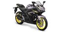 Yamaha R 25