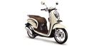 Honda Scoopy