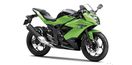 Kawasaki Ninja 250 RR mono