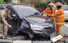 Masuk Akal, Ini Penjelasan Logis Tabrak Kucing di Jalan Bisa Bikin Sial