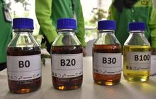 Juli Tahun Ini, Program Bio Diesel 50 Wajib Diimplementasikan