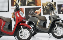 Harga Motor Bekas Honda Scoopy di Oktober 2022 Dijual Mulai Rp 10 Jutaan