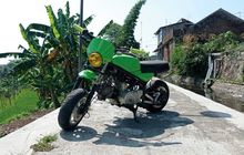 Si Imut Pocket Bike Tampil Sangar Kena Rombak Jadi Scrambler