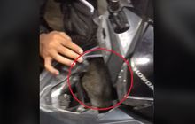 Muncul Suara Aneh Dari Honda Vario 125, Dibongkar di Bengkel, Wanita Pemilik Motor Jadi Haru