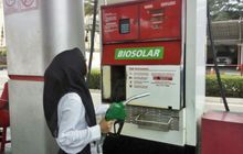 Panduan Aman Berpindah dari Pertadex ke Bio Solar untuk Mobil Diesel