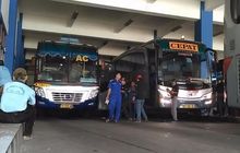 Naik Bus AKAP Pertama Kali, Ahli Beberkan Tips Anti Bingung dan Mabuk