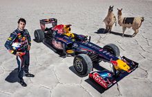 Keren Tapi Ngeri, Daniel Ricciardo Akan Pacu Mobil Red Bull di Sirkuit Nurburgring Nordschleife