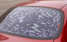 Penyebab Munculnya Gelembung di Kaca Mobil yang Bikin Pandangan Buram 