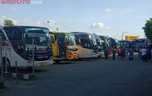 Siapkan 90 Bus dan 4 Truk, Pendaftaran Mudik Gratis Kemenhub Dibuka Mulai Hari Ini