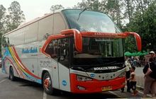 Sopir Ugal-ugalan Rosalia Indah Kena Batunya, Perusahaan Jatuhkan Sanksi Ini Biar Kapok