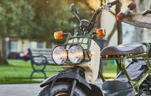 Honda Jual Skutik Baru Bernuansa Kalcer, Lebih Mahal dari CBR150R