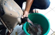 Banyak Yang Enggak Sadar, Ini Ciri Tangki Motor Kemasukan Air