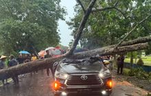Nyawa Kanit Dalmas Polres Tanjab Timur Tercabut, Tubuh Terjepit di Kabin Kijang Innova Reborn