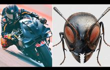 Fairing Baru KTM Mirip Kepala Semut, Jangan Remehkan Wajah Lucunya