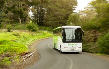 Sopir Kaget Bukan Main Lihat Koper Gerak Sendiri di Bagasi Bus, Isinya Mengejutkan