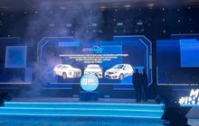 Mobil Harian sampai Premium Kini Dilindungi OTOMAXY dari BRI Insurance