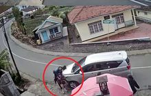 Kasihan, Seekor Kuda Tebas Kijang Innova Reborn Saat Lari Kencang di Tikungan Jalur Bromo