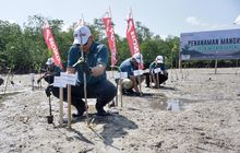 Hijaukan Pesisir Belitung, Honda Babel Gandeng Warga dan Pemerintah Tanam 500 Mangrove