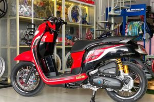 Scoopy Modif Hedon