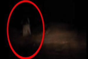 500 Koleksi Hantu Bolong HD Terbaru