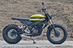 pulsar ns 200 scrambler