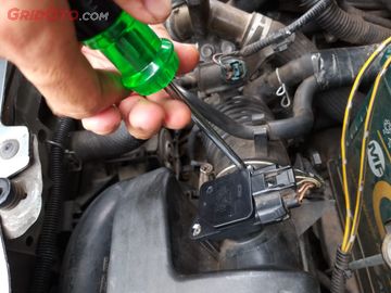Tikus Masuk Ruang Mesin Mobil Ternyata Dampaknya Bisa Sangat
