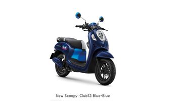 Demen Thailook Wajib Masuk, Inilah 9 Pilihan Warna Baru Honda All ...